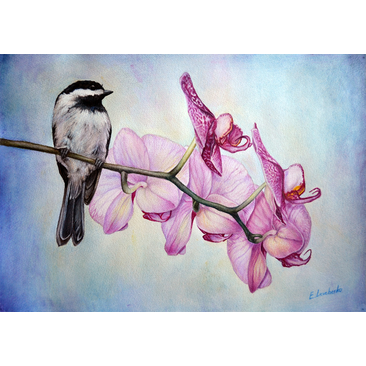 the bird with orchids