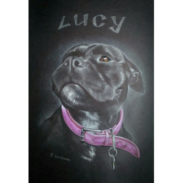 Dog Lucy