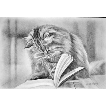 Reading cat
